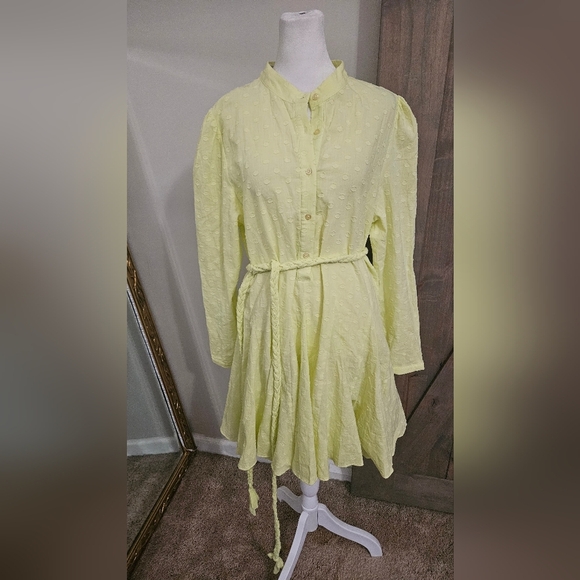 THE SHIRT by ROCHELLE BEHRENS The Jenica Dress In Yellow. Size L NWT - Picture 4 of 16